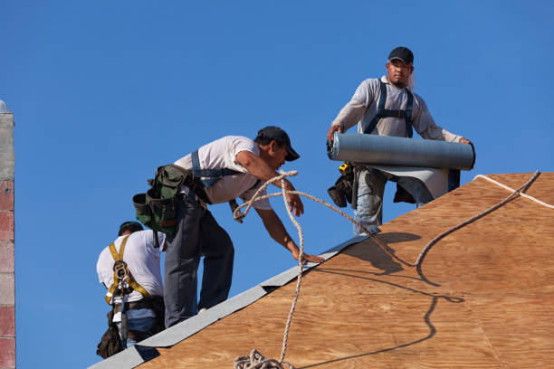 Best Storm Damage Roof Repair  in Park Ridge, NJ